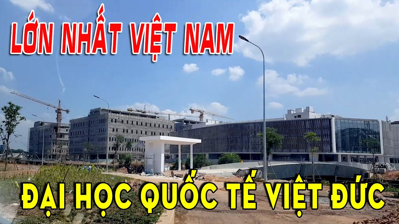 Đại học quốc tế Việt Đức